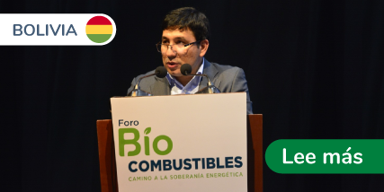 Analisis_Impacto_ESG_Bolivia_comite_multiministerial