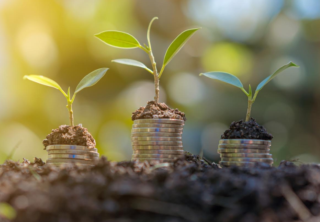 inversiones responsables pacifico